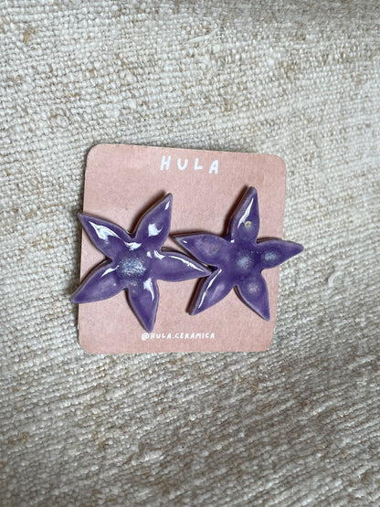Modelo Estrella