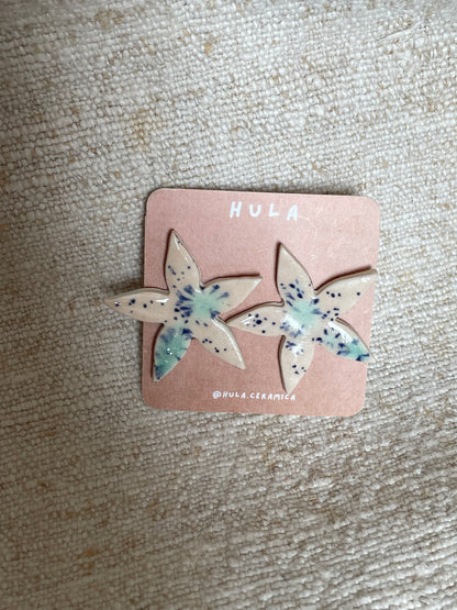 Modelo Estrella