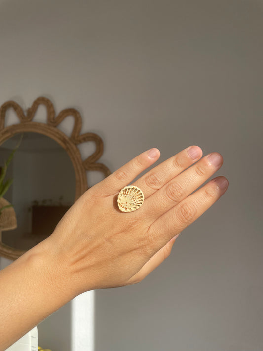Anillo Concha