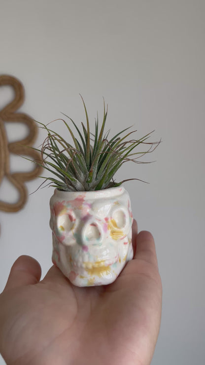 Calavera mini