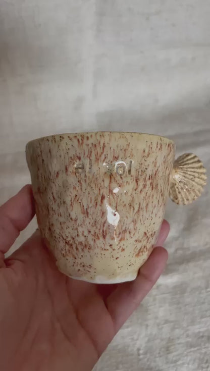 Taza Arena